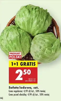 Biedronka Sałata lodowa Biedronka oferta