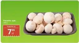 Biedronka Pieczarki 1 opak. Biedronka oferta