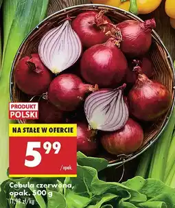 Biedronka Cebula czerwona Biedronka oferta