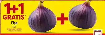 Polomarket Figa oferta