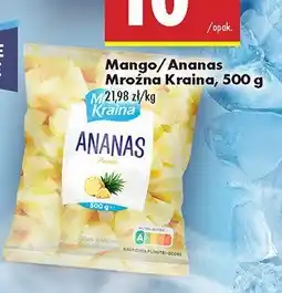 Biedronka Ananas mrożony Mroźna Kraina oferta