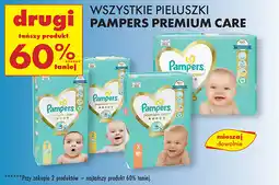 Biedronka Pieluszki Pampers Premium Care oferta