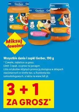 Lidl Dania i zupki Gerber oferta
