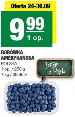 Spar Borówka amerykańska SPAR oferta