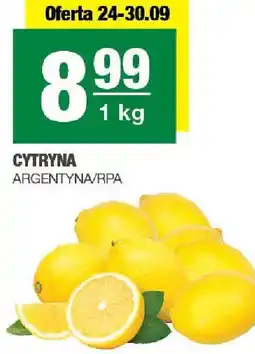 Spar Cytryna SPAR oferta