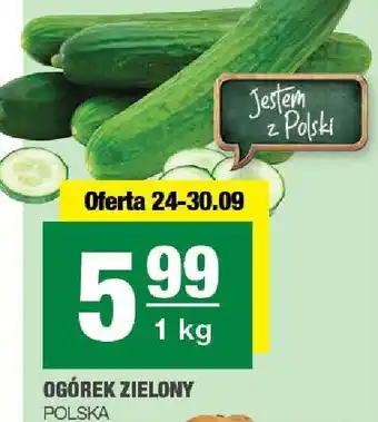Spar Ogórek zielony SPAR oferta