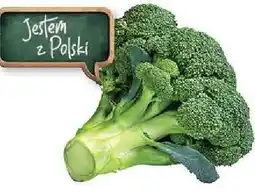 Spar Brokuł SPAR oferta