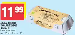 Spar Jaja z chowu ekologicznego rozm. M Czachorowski oferta