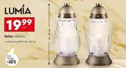 Biedronka LUMIA oferta