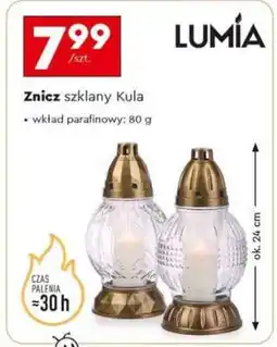 Biedronka Znicz szklany Kula oferta