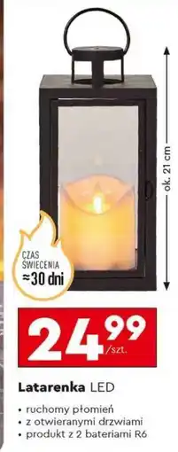 Biedronka Latarenka LED oferta