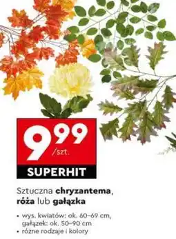 Biedronka Sztuczna chryzantema, róża lub gałązka oferta
