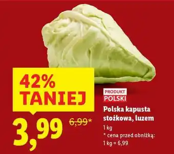Lidl Polska kapusta stożkowa, luzem oferta