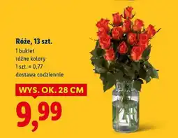 Lidl Róże, 13 szt oferta