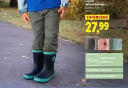 Lidl Kalosze dziecięce Lupilu oferta