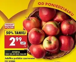 Biedronka Jabłka czerwone polskie oferta