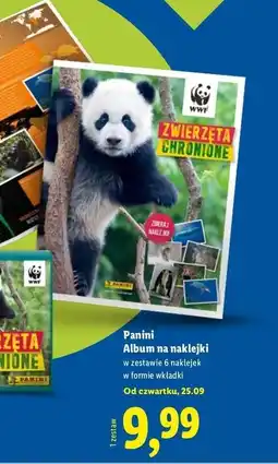 Lidl Album do wyklejania Panini oferta