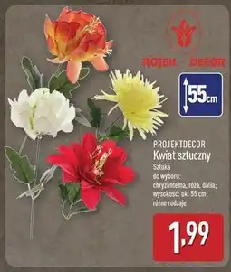 ALDI Dalia 55 cm Projektdecor oferta