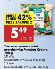 Biedronka Trio warzywne Mroźna Kraina oferta