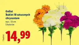 Lidl Chryzantemy 53 cm Goliat oferta