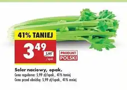 Biedronka Seler naciowy polska oferta