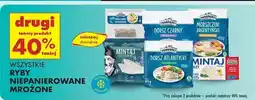 Biedronka Mintaj filet Family Fish oferta