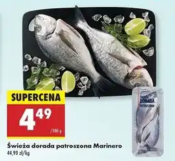 Biedronka Dorada patroszona świeża Marinero oferta