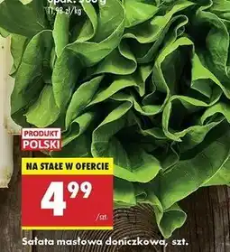 Biedronka Sałata masłowa polska oferta