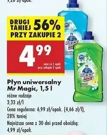 Biedronka Płyn uniwersalny lilia wodna Mr Magic oferta