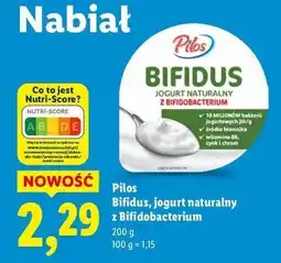 Lidl Jogurt naturalny bifidus Pilos oferta