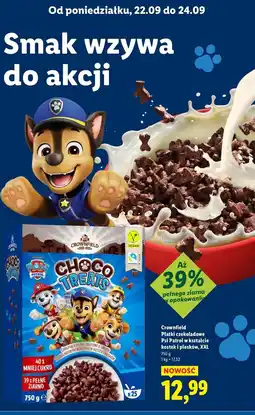 Lidl Płatki psi patrol Crownfield oferta