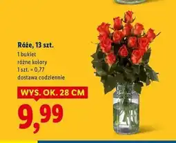 Lidl Róże 28 cm oferta