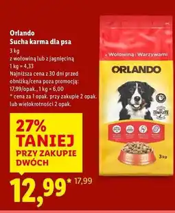 Lidl Karma dla psa nuggetsy wołowiną Orlando oferta