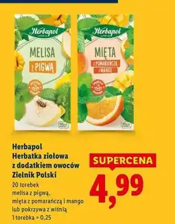 Lidl Herbatka pokrzywa z wiśnią Herbapol oferta