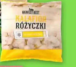 Netto Kalafior mrożony Harvest Best oferta