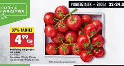 Biedronka Pomidory na gałązce na wagę Biedronka oferta