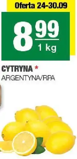 Spar Cytryna SPAR oferta