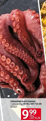 Selgros Ośmiornica gotowana Selgros oferta