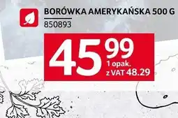 Selgros Borówka amerykańska Selgros oferta