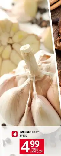 Selgros Czosnek Selgros oferta