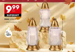 Biedronka Znicz szklany oferta