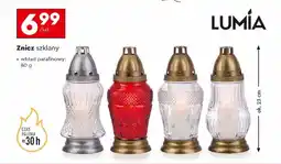 Biedronka Lumia znicz szklany oferta
