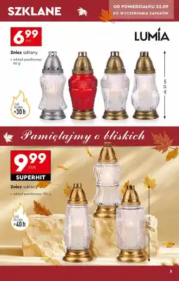 Biedronka Znicz Lumia oferta