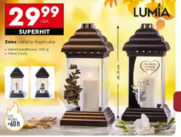 Biedronka Znicz Lumia oferta