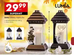 Biedronka Znicz szklany Kapliczka oferta