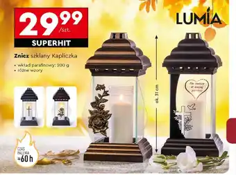 Biedronka Znicz szklany Kapliczka oferta
