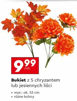 Biedronka Bukiet Ok oferta