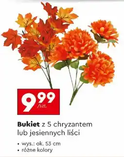 Biedronka Bukiet z 5 chryzantem lub jesiennych liści oferta