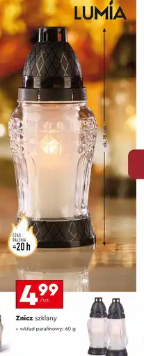 Biedronka Znicz Lumia oferta