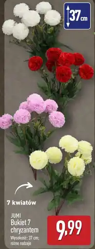 ALDI Bukiet kwiatów Jumi oferta